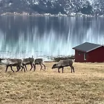 Efjord&stetind - Kobbernestinden Feriehus