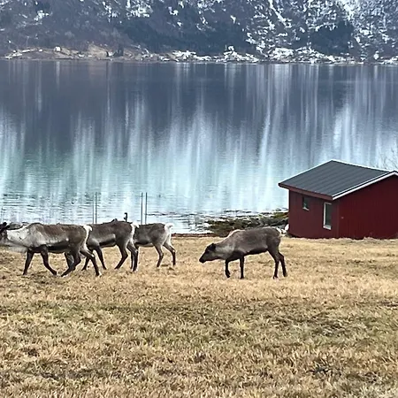 Efjord And Stetind - Kobbernestinden Tatil Evi