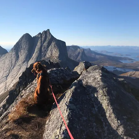 Efjord&stetind - Kobbernestinden Feriehus Ballangen