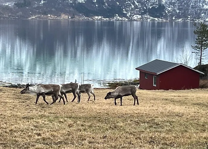 Efjord&stetind - Kobbernestinden Ferienhaus