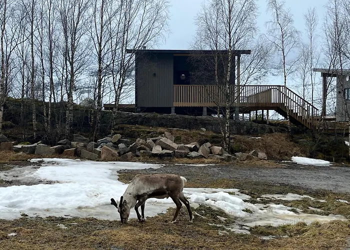 Efjord&stetind - Kobbernestinden Ballangen