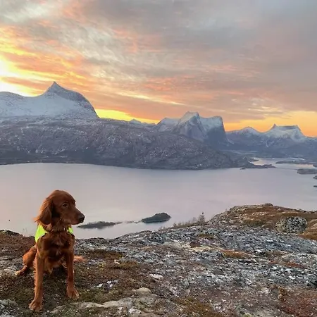 Efjord And Stetind - Kobbernestinden Holiday home