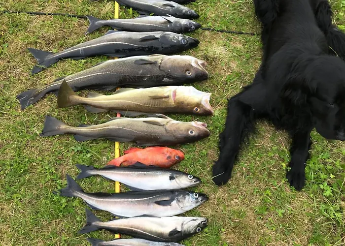 Efjord And Stetind - Kobbernestinden Nyaraló Ballangen